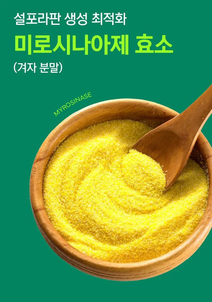 [키위맛] 길팁 브로콜리 씨앗 추출물 분말 설포수 14포(14일분) 상세페이지 21